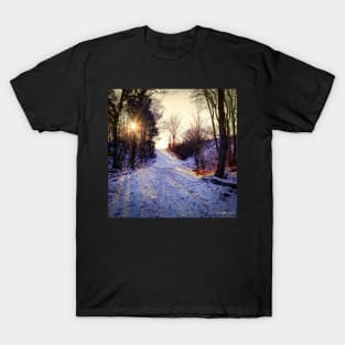 Sunset At The Entrance To Hemlock Ravine Park T-Shirt